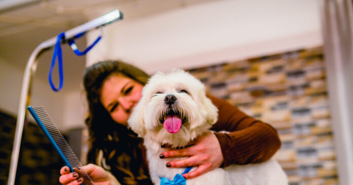 istock 1291033356 1200x630.jpg