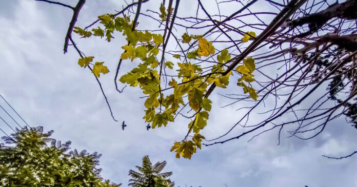 kairos 2 1 1200x630.jpg