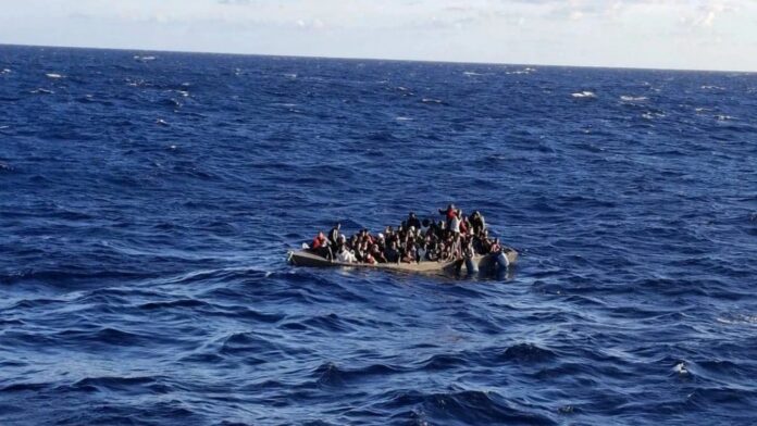 metanastes lemvos.jpg