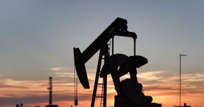 petrelaio kausima reuters scaled 1 1200x630.jpg