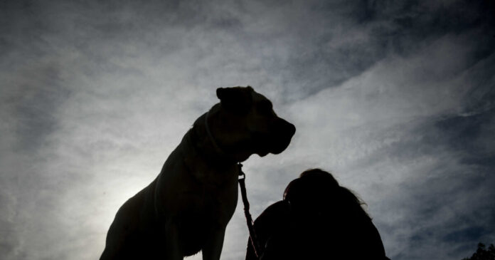 skilos eurok 1200x630.jpg