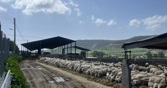 φαρμα οροκλινη.jpg