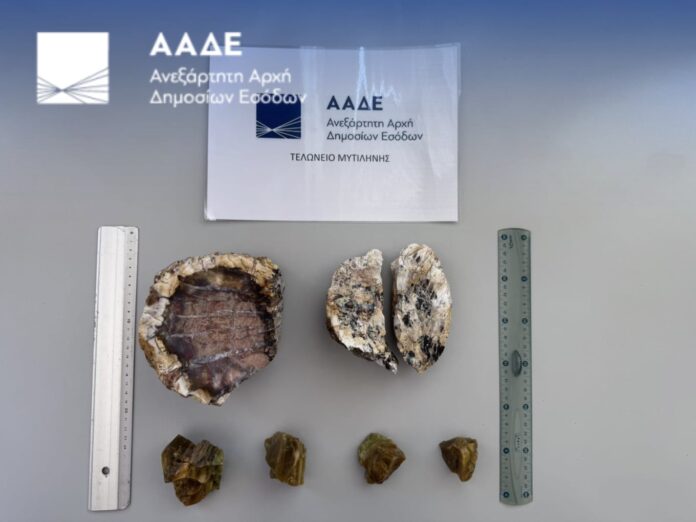 aade lesvos.jpg