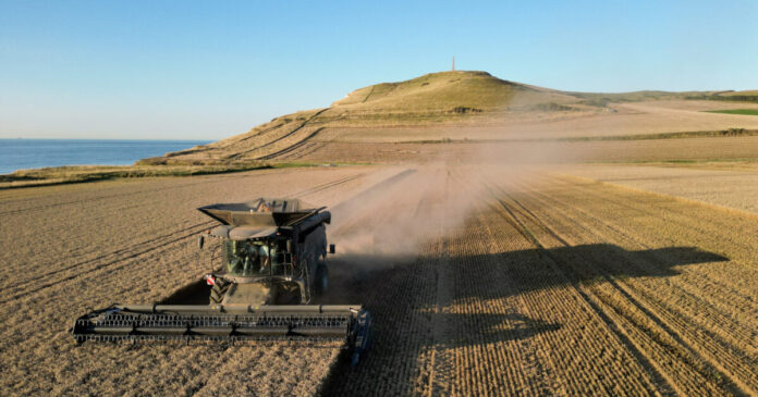 agrotes reuters 1200x630.jpg