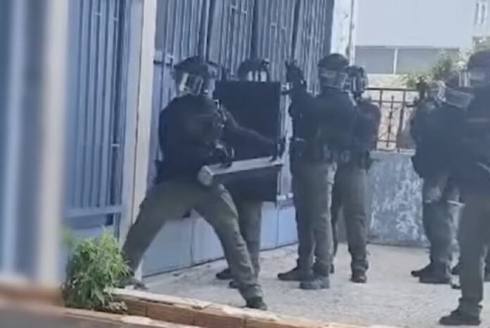 elas speira apates efodos 1.jpg