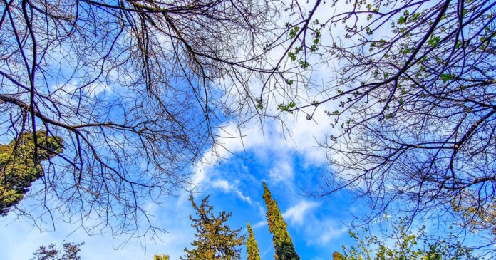 kairos 7 1200x630.jpg