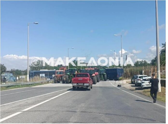 serres agrotes.jpg