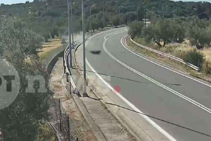 troxaio lesvos3.jpg