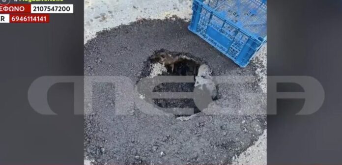 Στιγμιότυπο οθόνης 2026 05 28 231149.jpg