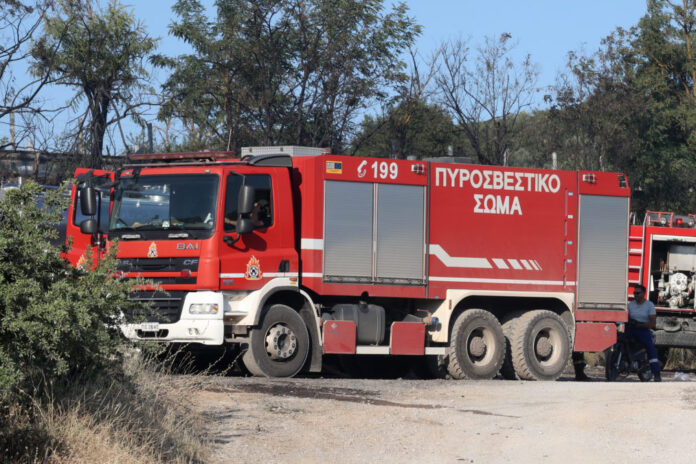 fotia boiotia 5 1013x675.jpg