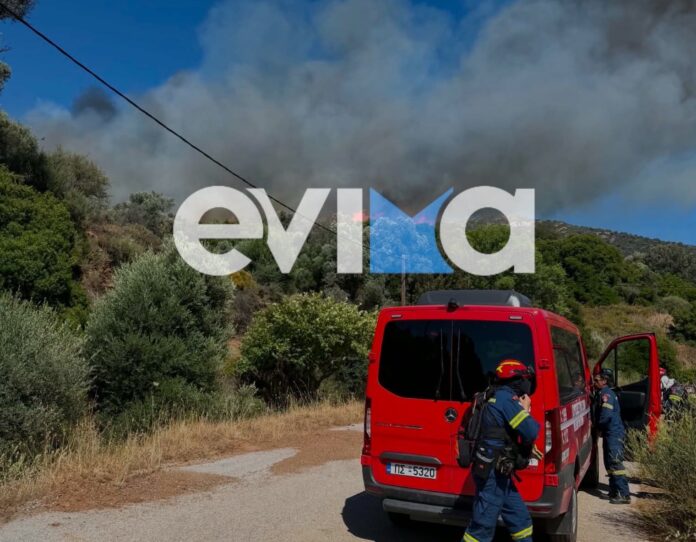fotia evoia 2.jpeg