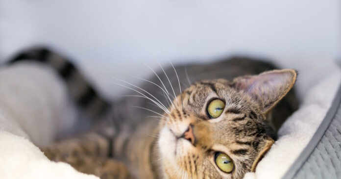 istock 2246241597 1200x630.jpg