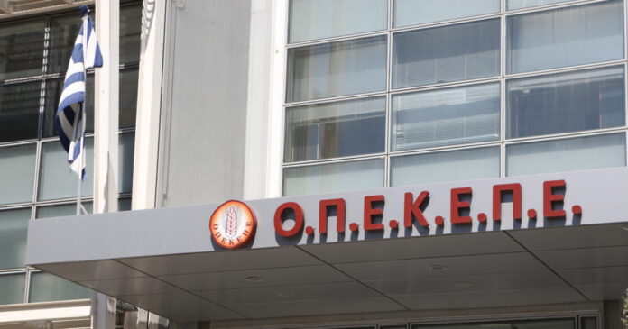 opekepe 1200x630.jpg