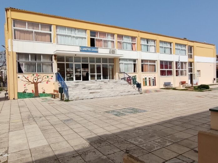 8dim alexandr.jpg