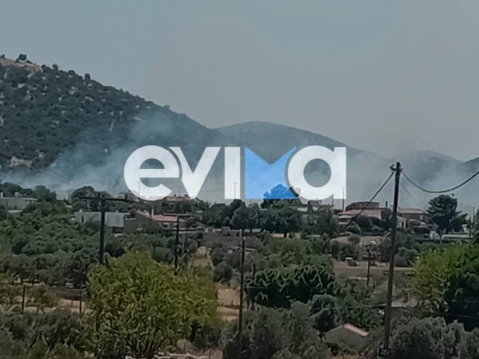 evoia fotia 900x675.jpeg