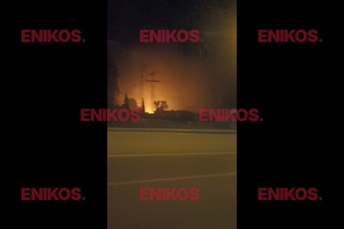 fotia sto oraiokastro9.jpg