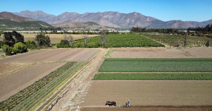 agrotis farmer xorafi reuters scaled 1 1200x630.jpeg