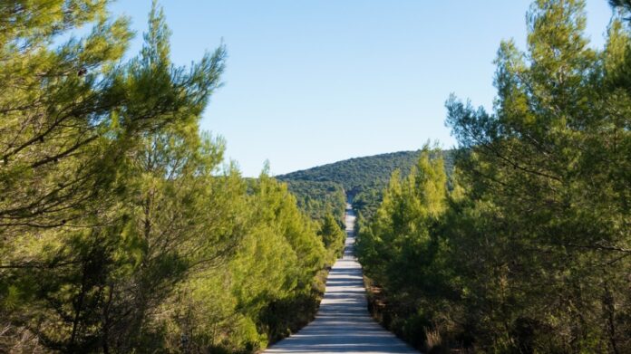 chalkidiki.jpg