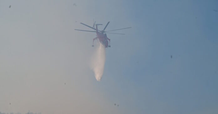 fotia 3 2 1200x630.jpg