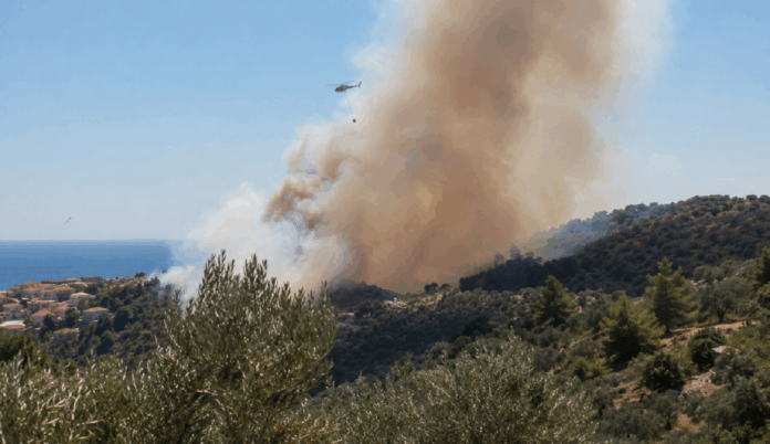 fotia lesvos.png