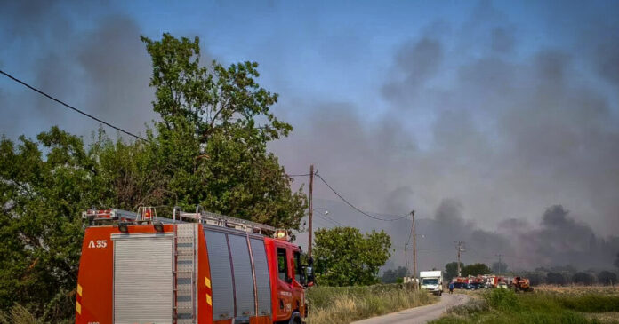 fwtia eurok 1200x630.jpg
