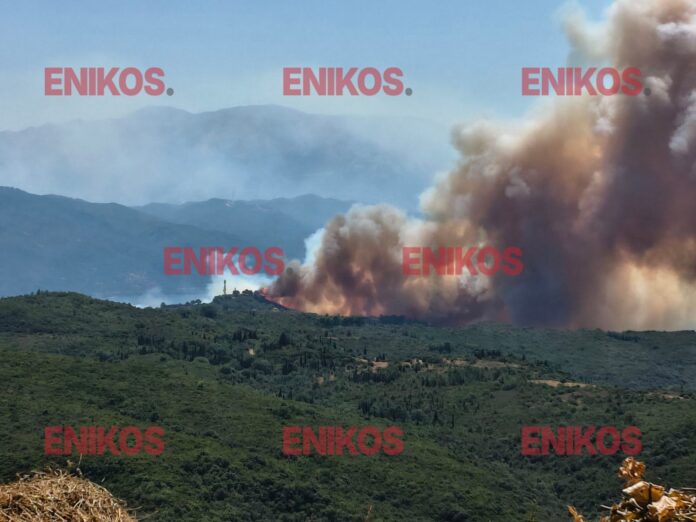 fotia fokida.jpg