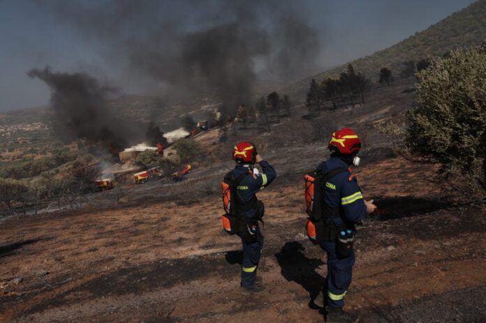 fotia koubara 2 1014x675.jpg