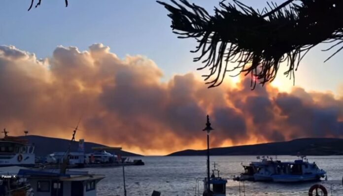 fotia skyros.jpg