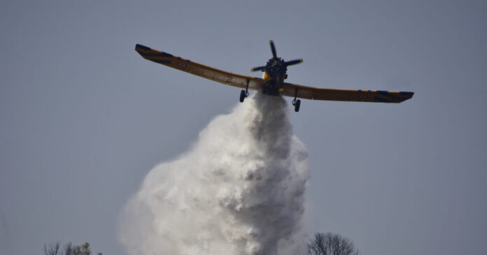 pzl 1 1200x630.jpg