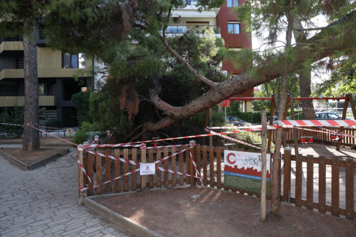 5325419 1013x675.jpg