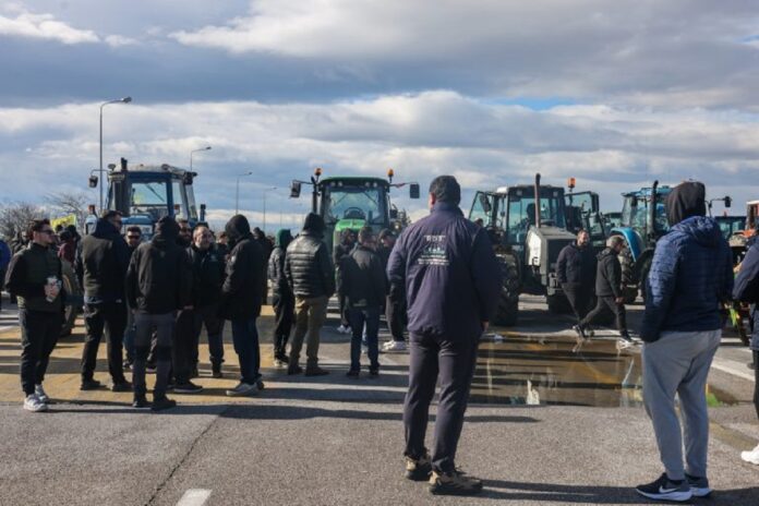 agrotes malgara 768x512 1.jpg