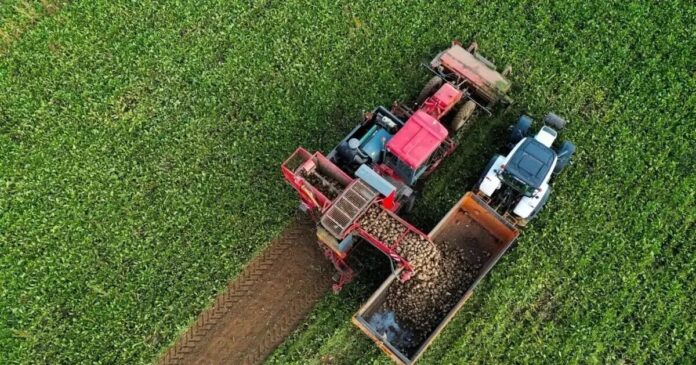 agrotes trakter reuters 1 1200x630.jpg