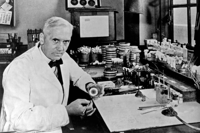 fleming penicillin.jpg