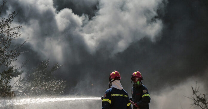 fotia 6 1 1200x630.jpg
