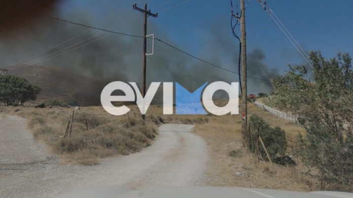 fotia evoia 1200x675.jpeg