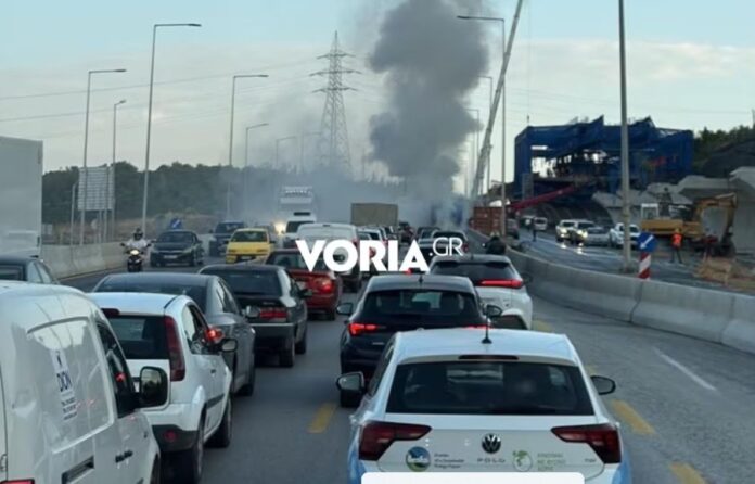 fotia fortigo thessaloniki.jpg