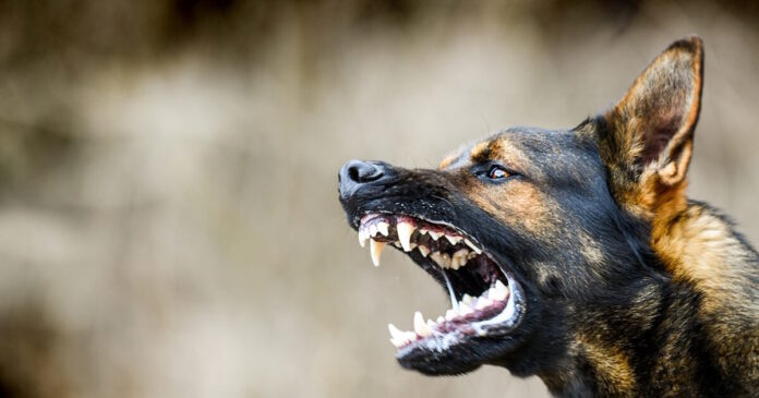 istock 1222256422 1200x630.jpg