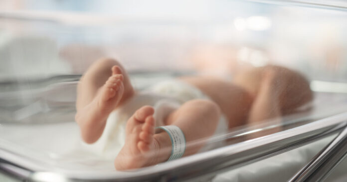 istock 1489423262 1200x630.jpg
