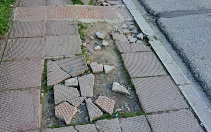 pezodr.jpg