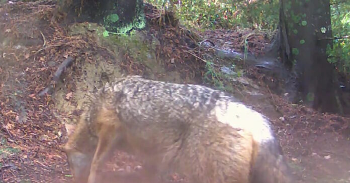 tsakali 14092026 1200x630.jpg