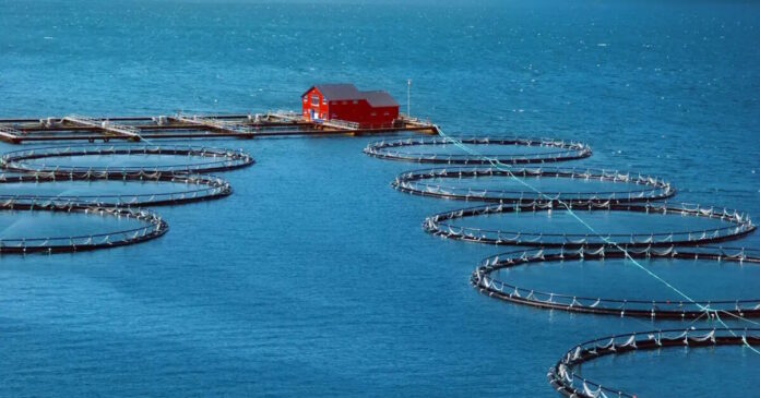 istock 1130276180 1 1200x630.jpg