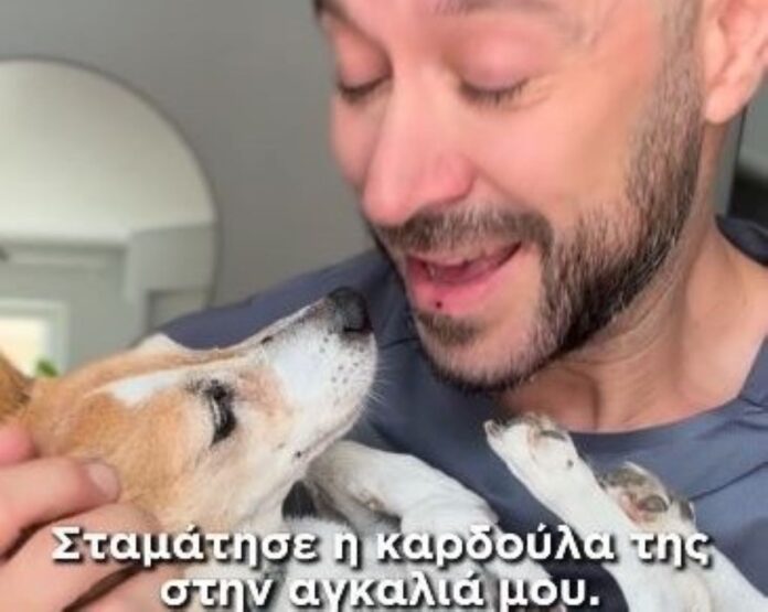 milou.jpg