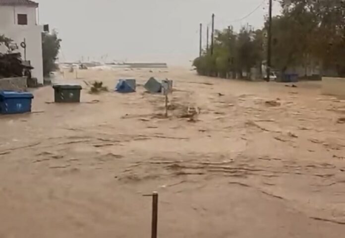 platanias.jpg