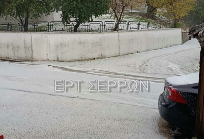 watermarked xalazi nea zixni 1 768x524 1.jpg